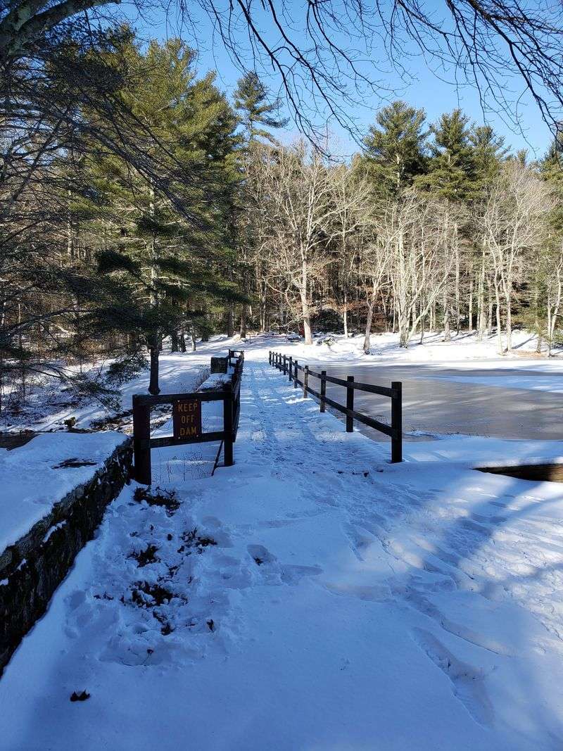 Winter Activities