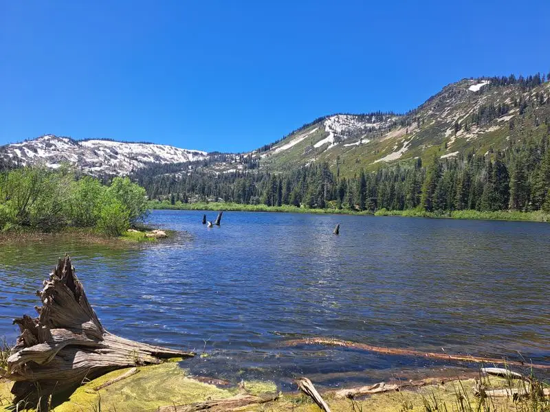 Wildlife, Seasons, and When to Visit