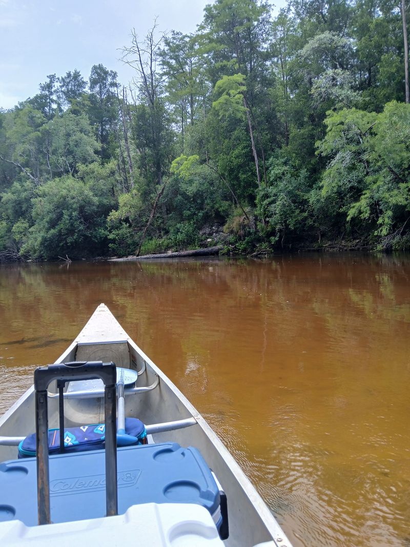 Perdido River Canoe Launch