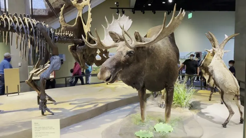 Perot Museum of Nature and Science – Moody Family Children's Museum Planetarium (Dallas, TX)