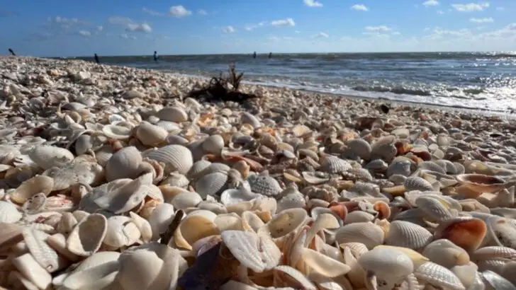 Florida has a shell-filled stretch between islands just west of Sanibel