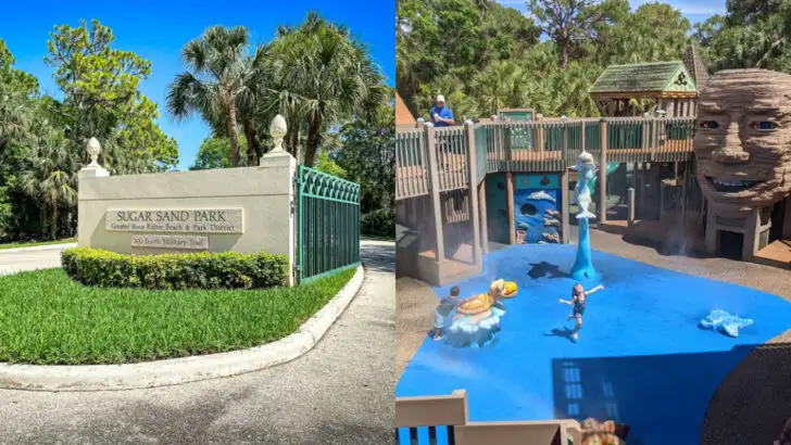Florida&rsquo;s Sugar Sand Park Turns Family Time Into an All-Day Adventure