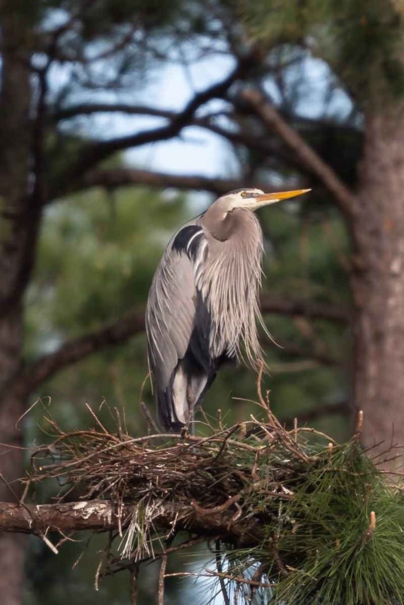 Audubon Bird Sanctuary: Where Wings Steal the Show