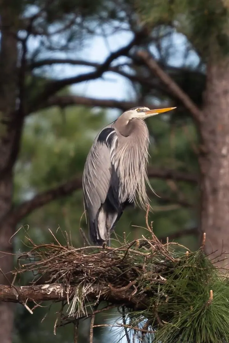 Audubon Bird Sanctuary: Where Wings Steal the Show