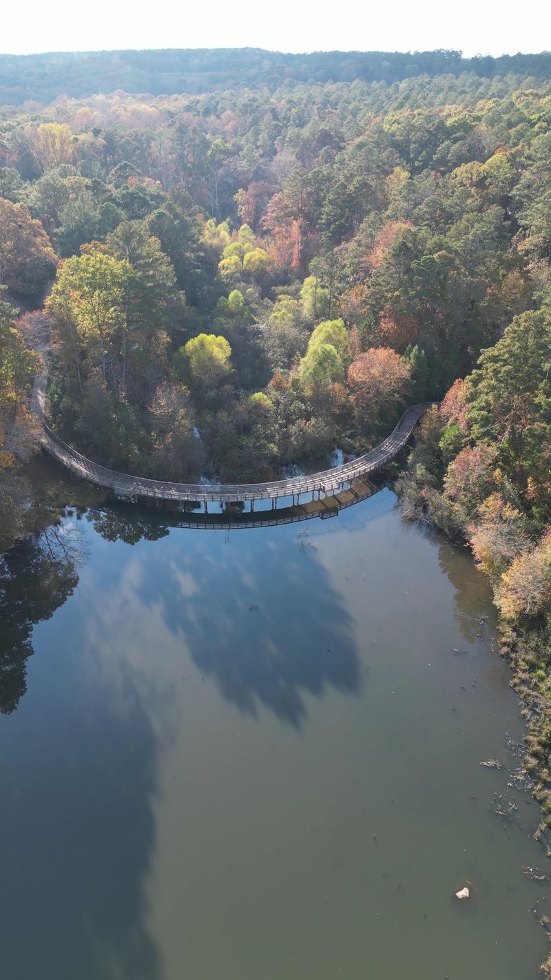 Panola Mountain State Park