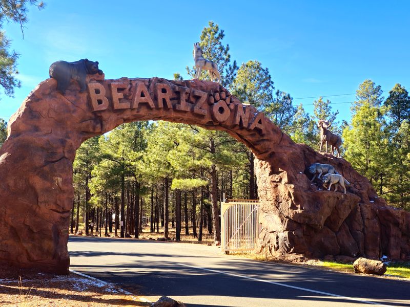 Bearizona Wildlife Park – Williams