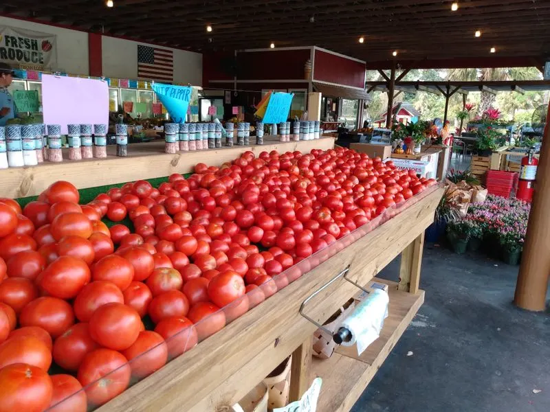 Peak-Season Produce: What To Buy Now