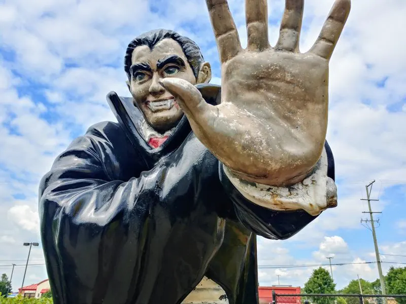 Special Events and Parties