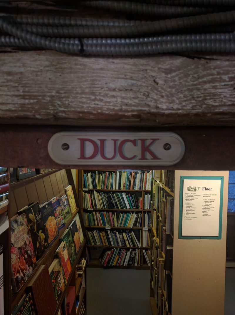 Photography Moments and Atmosphere