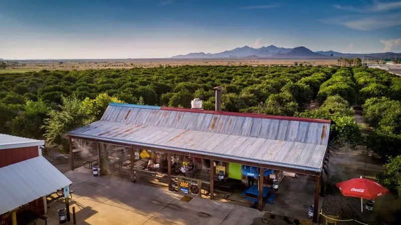 The Vibrant Patio Experience