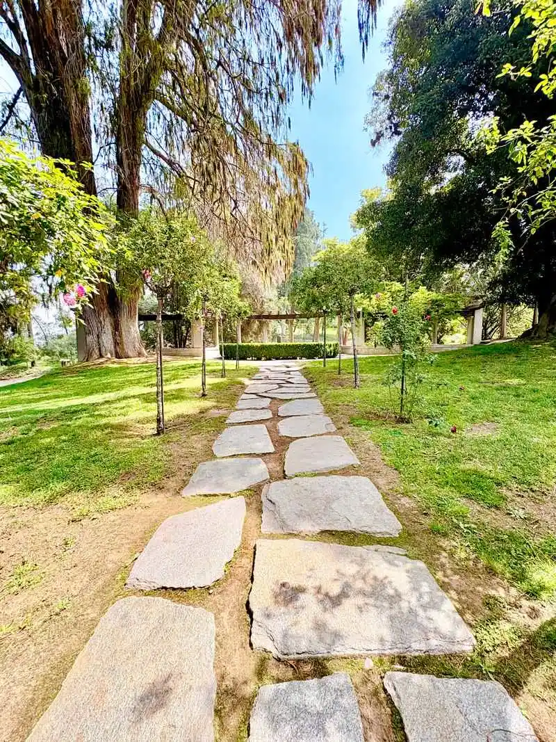 Cultural Significance