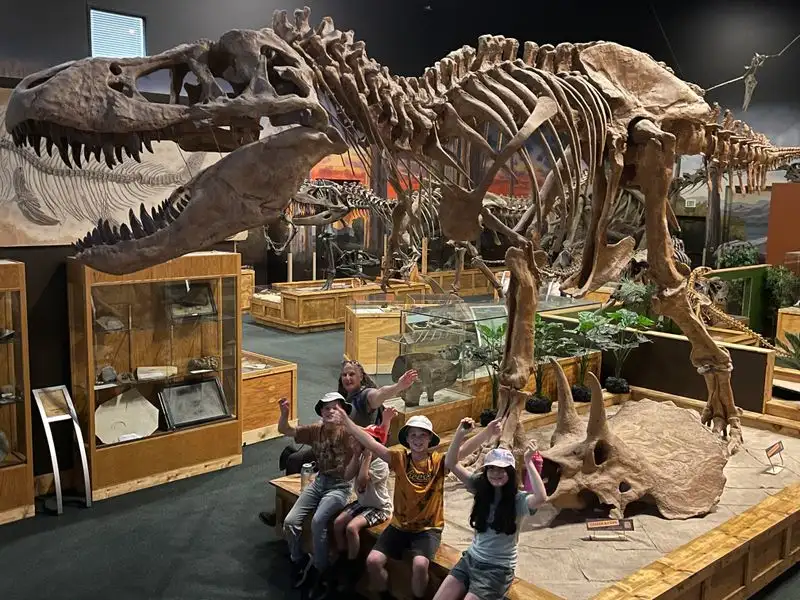 The Museum: Real Fossils, Bones, And Animatronics