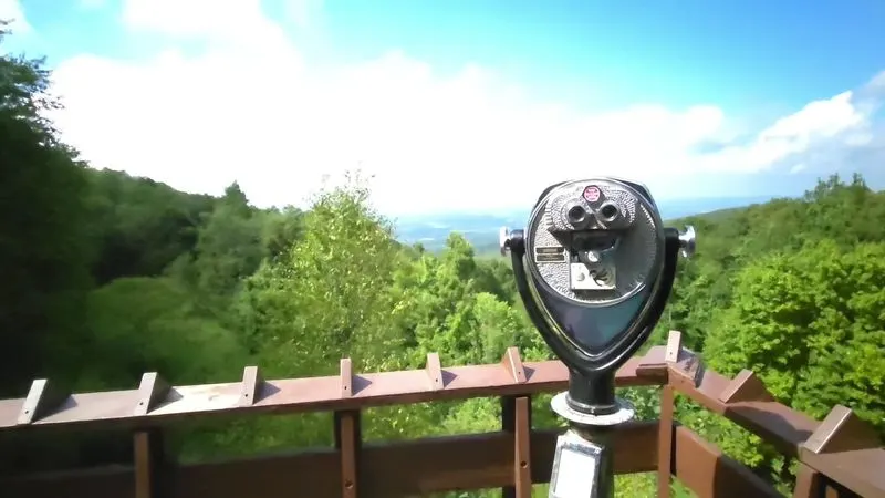 Scenic Overlook at Chestnut Ridge