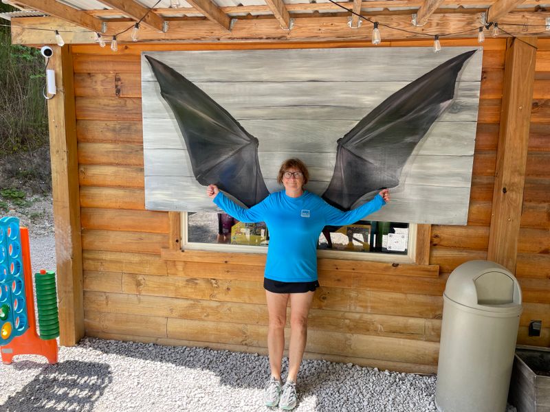 Local Wildlife Encounters