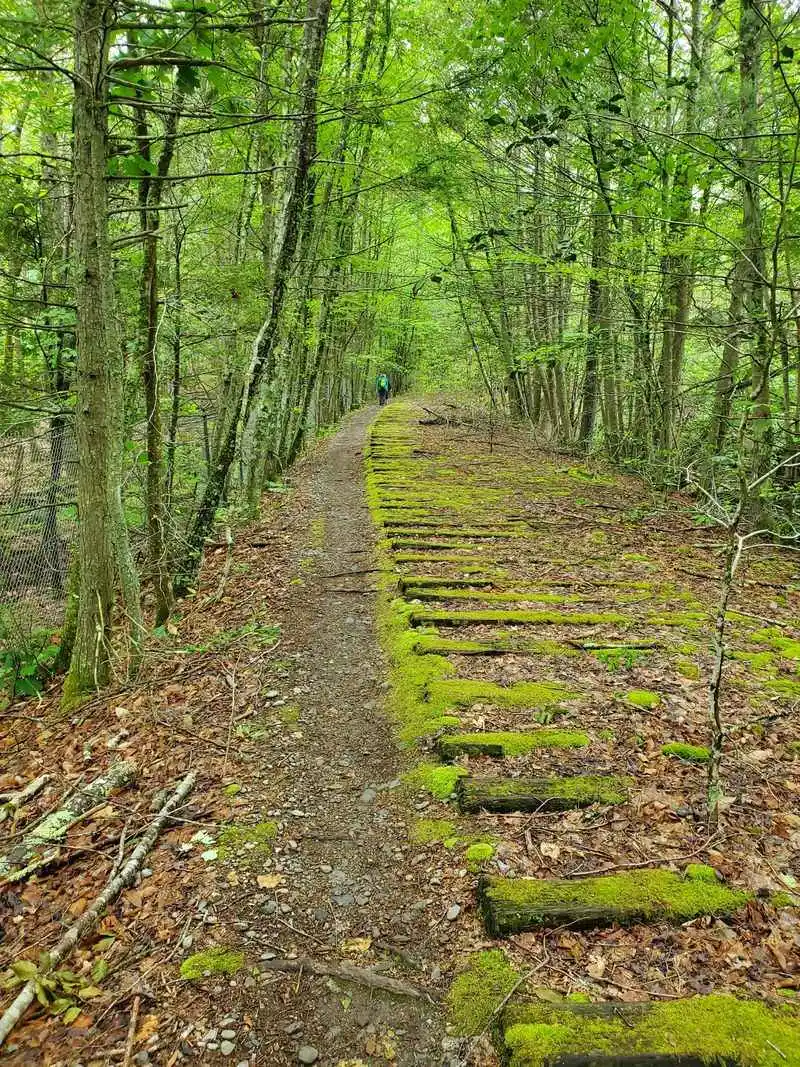 Wompatuck State Park