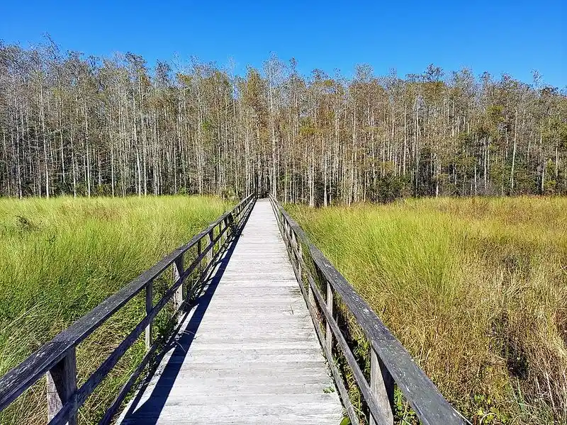 Family-Friendly and Accessible