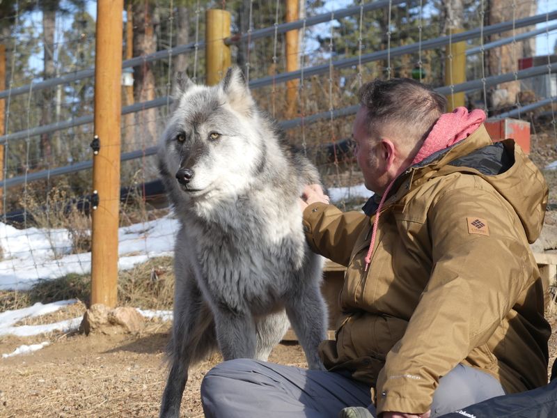 Plan Your Visit: hours, logistics, accessibility