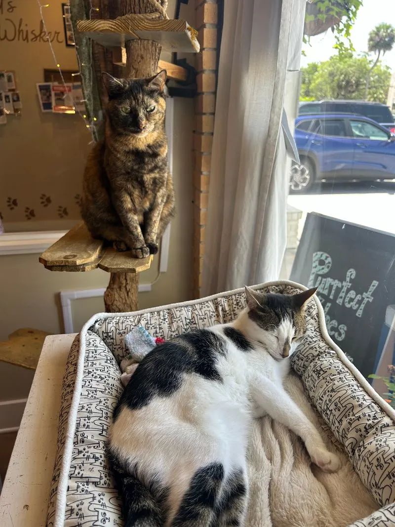 Tips for a meaningful first visit