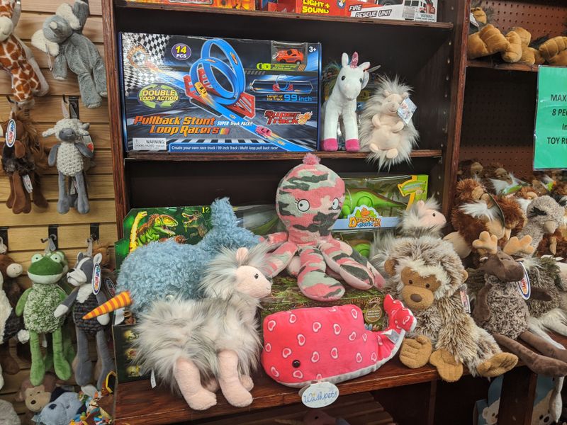 Kids&rsquo; Toys and Playful Discoveries