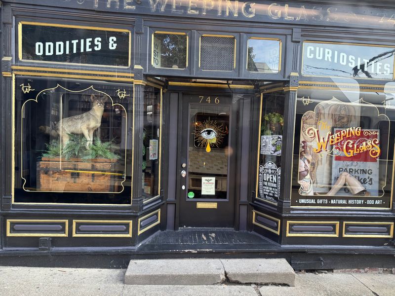 Visiting Tips and Neighborhood Notes