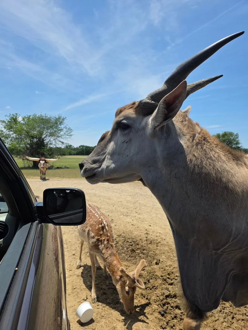 Budgeting Feed and Time