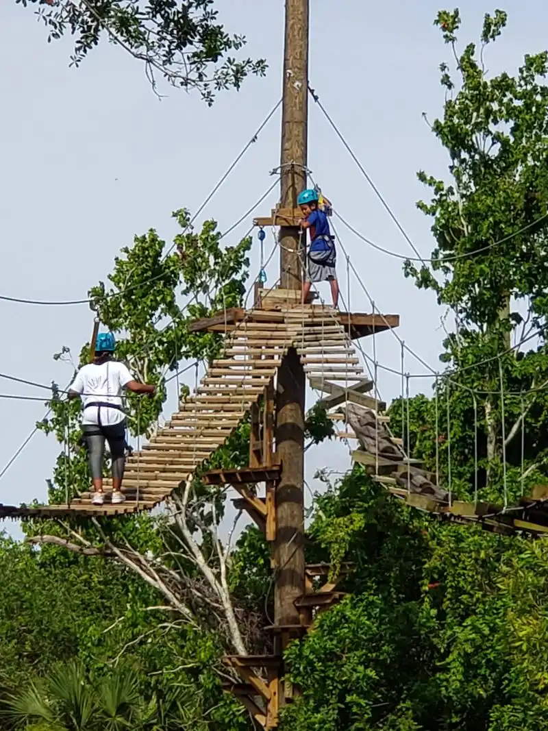 Treetop Trek Zip-lining and Aerial Challenge