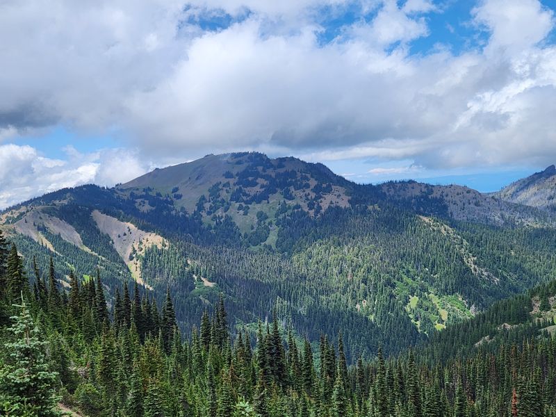 Hurricane Ridge Fire Lookout &mdash; Port Angeles, Washington