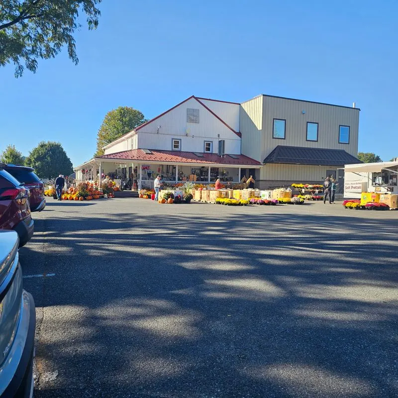 Peanut Butter Dream Bars