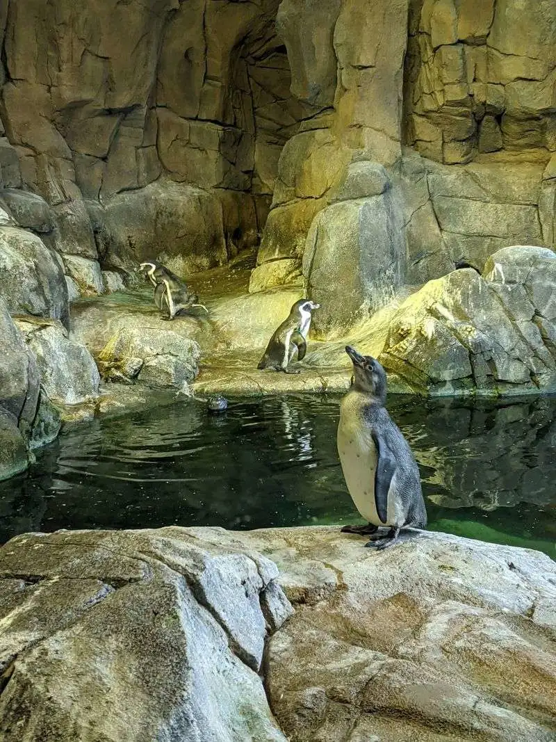 Family Friendly Tips and Accessibility