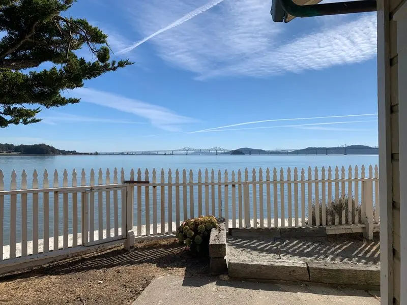 Tide pools and shoreline whispers