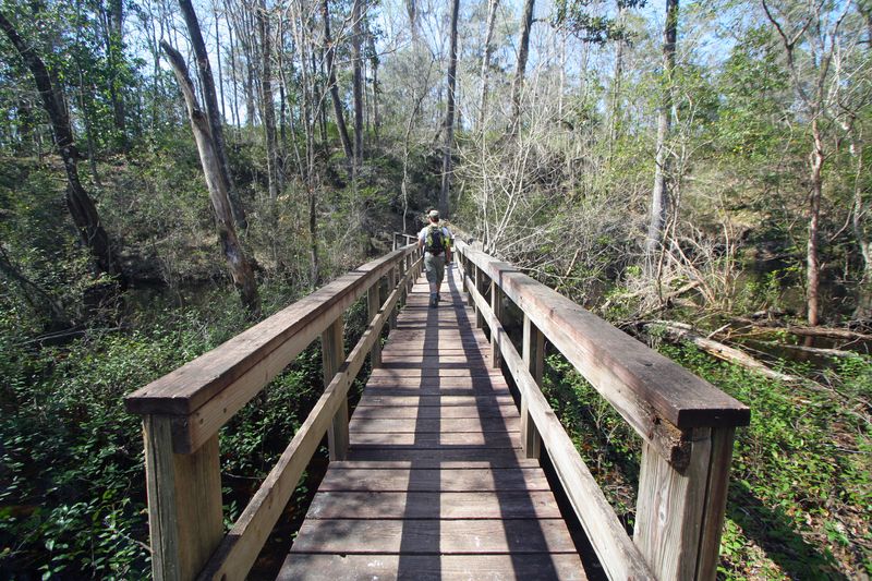 Gum Swamp Trail