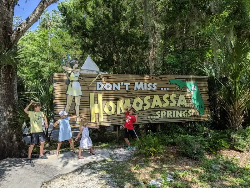 Turtle Nesting Wonders