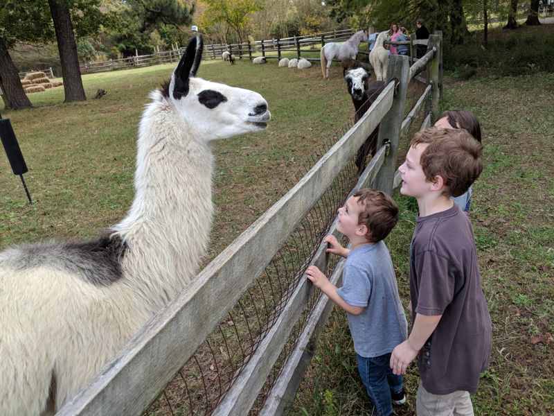 Bluebird Gap Farm - Hampton, Virginia