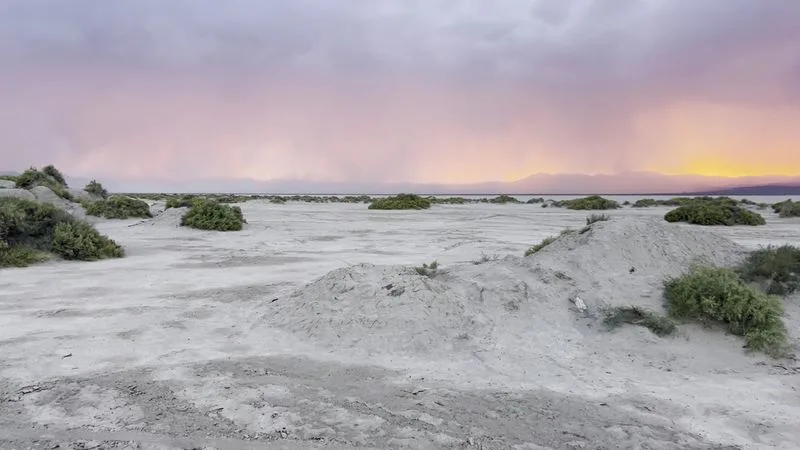 Alvord Desert