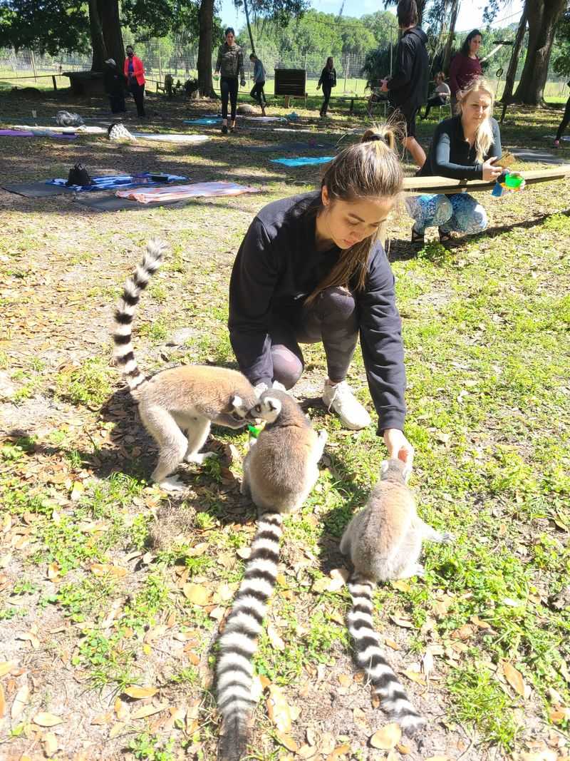 Education, Conservation, and Volunteering