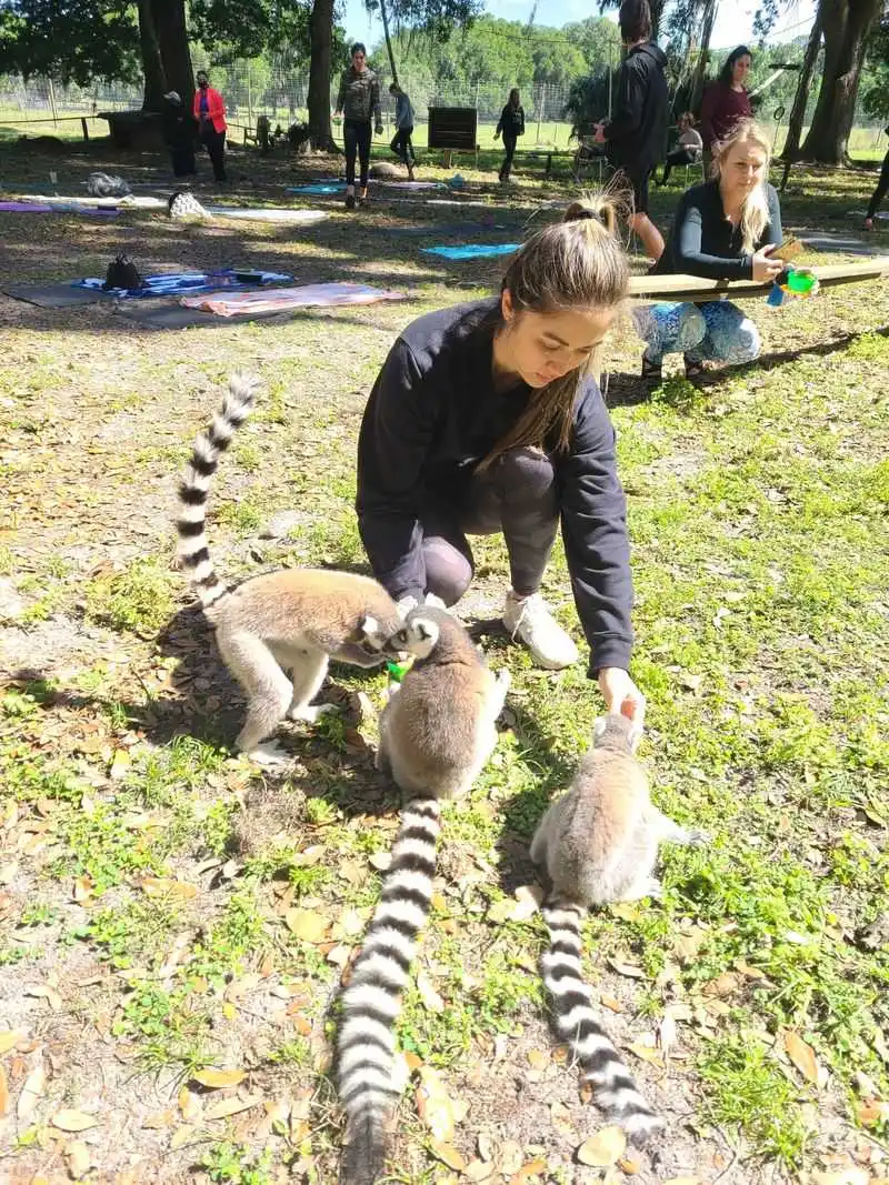 Education, Conservation, and Volunteering