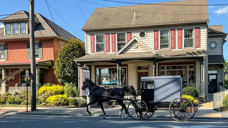 Season by Season: Planning Your Visit