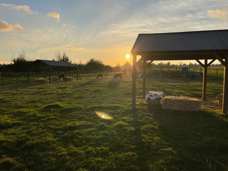 Picnic Basket Basics by the Barn