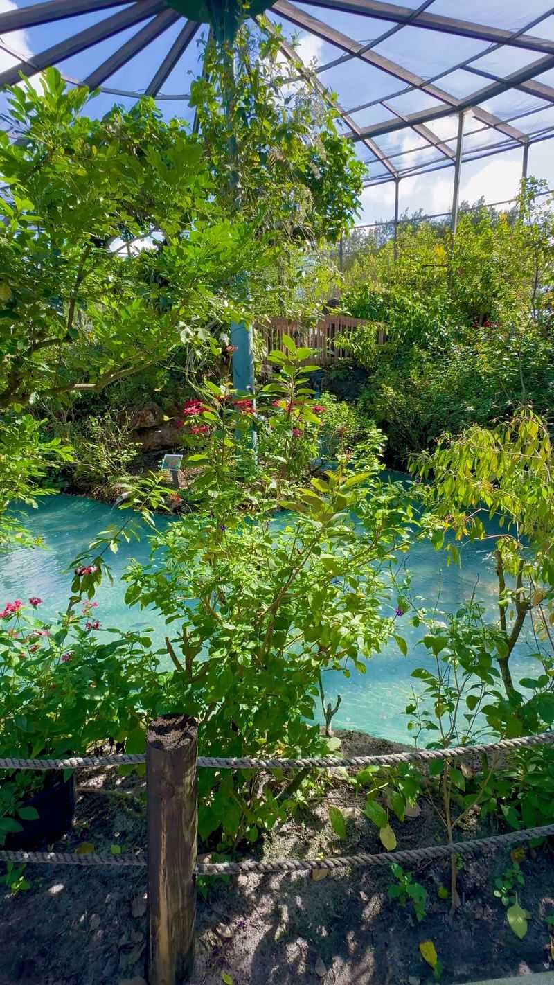 Shade Pavilion Picnic Nook