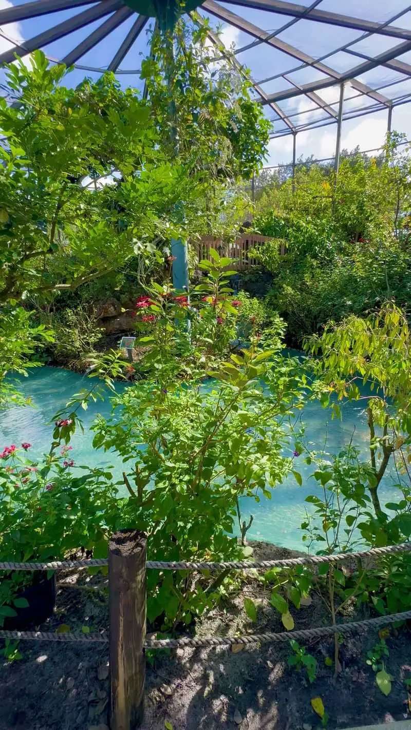 Shade Pavilion Picnic Nook