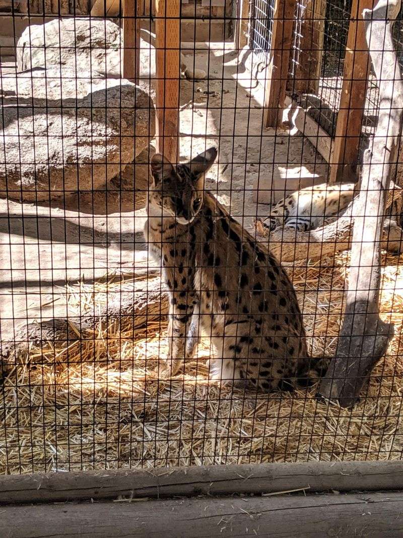 Idaho – Zoo Boise – Boise