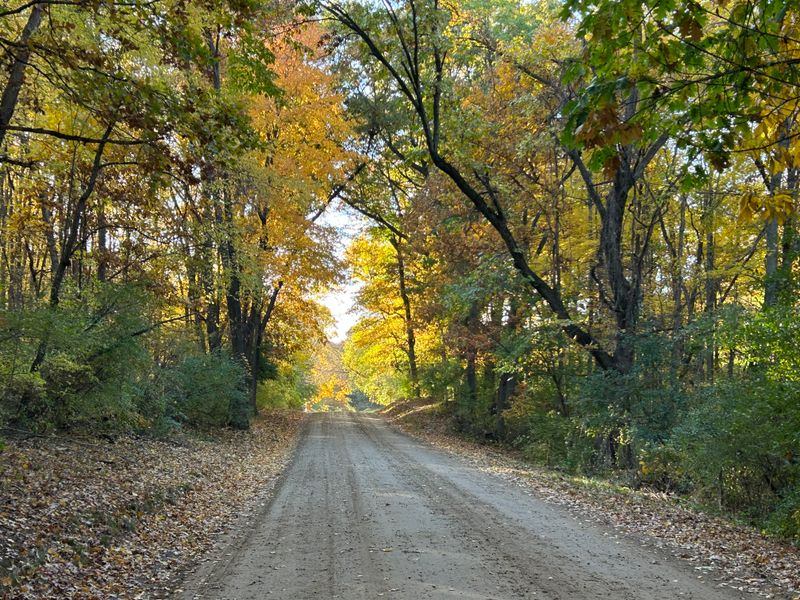 Pinckney Recreation Area Nearby