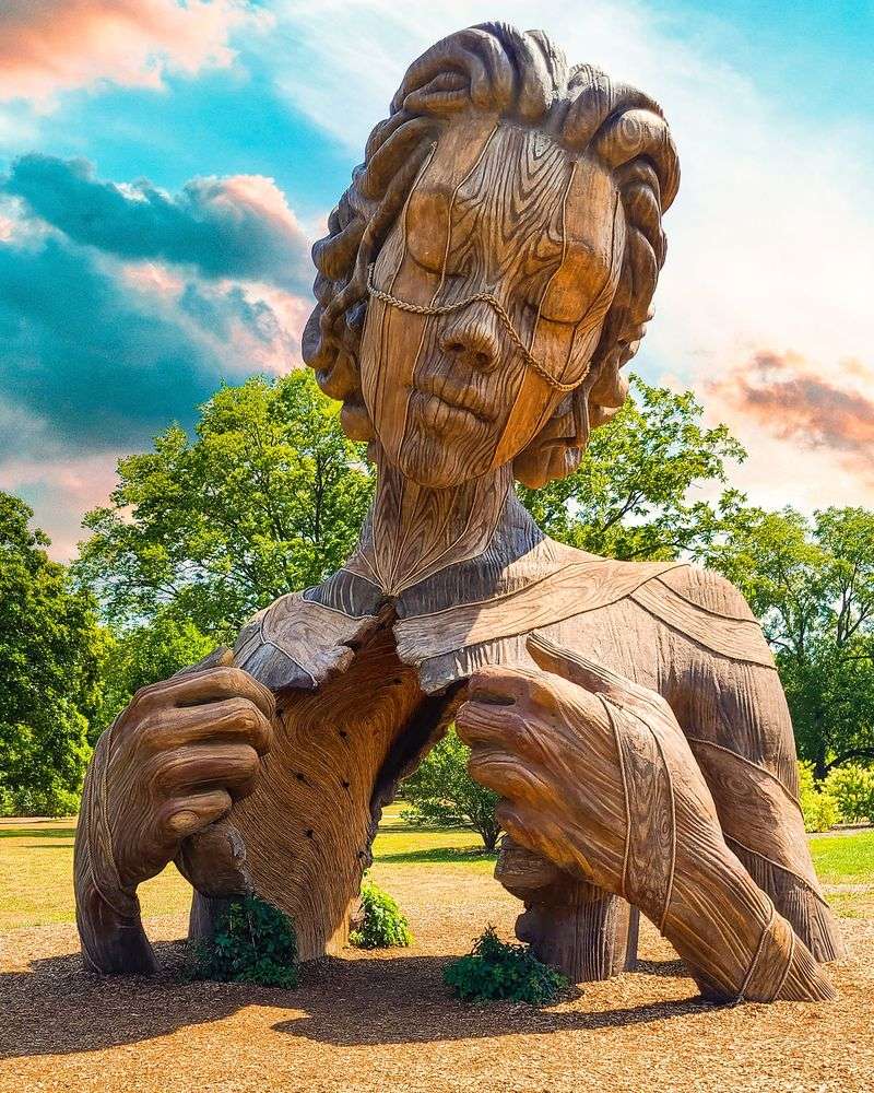 Conifer Collection and Winter Walk