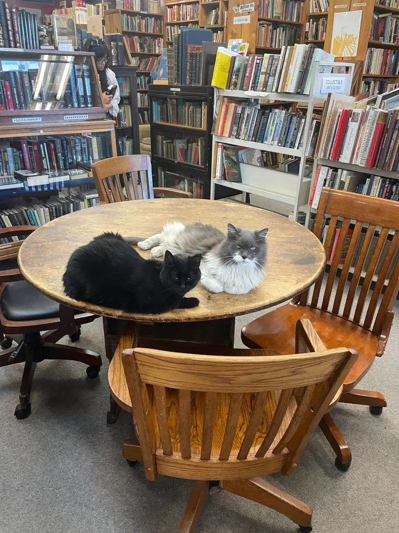 Rare And Quirky Ephemera