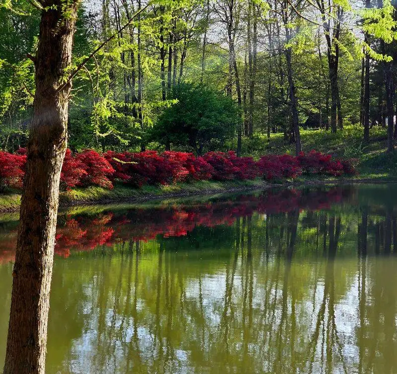 Twilight Music on the Lawn