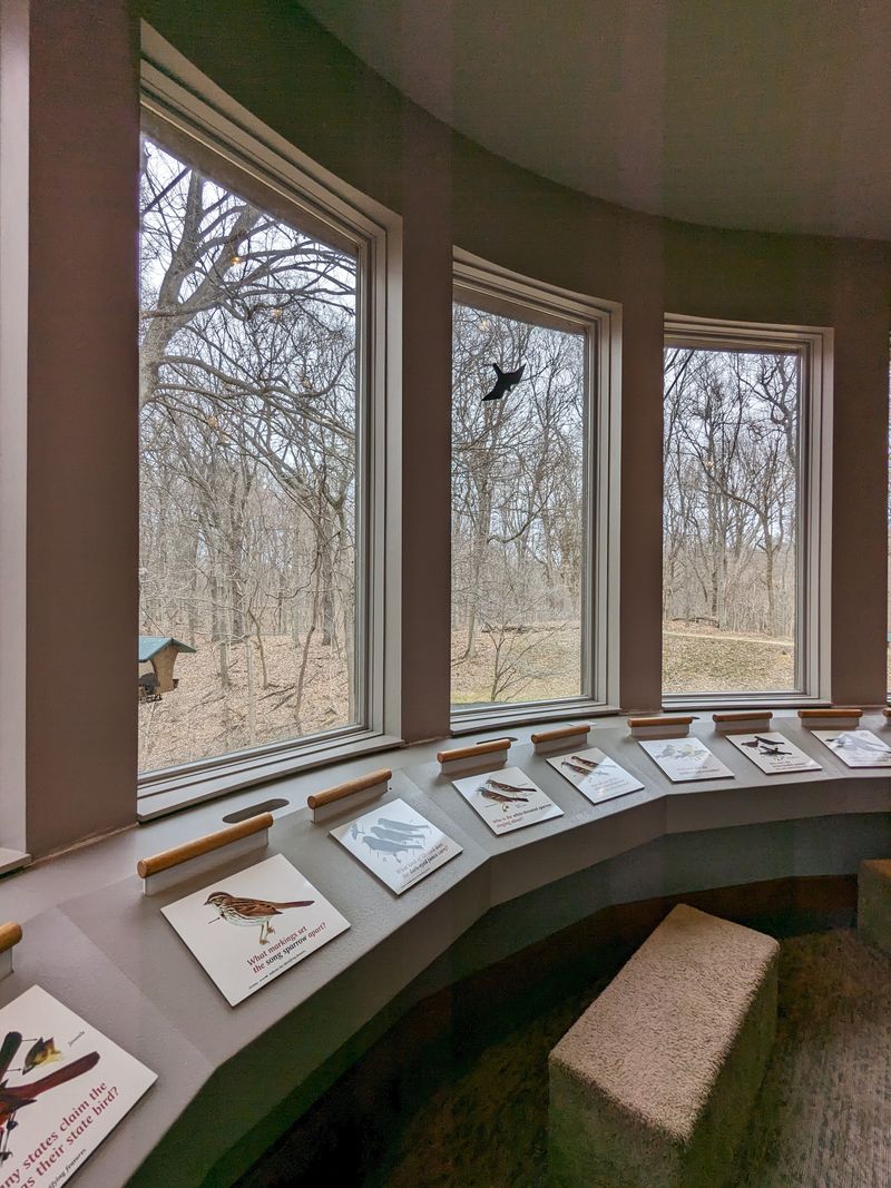 Bird Viewing Room and Feeders