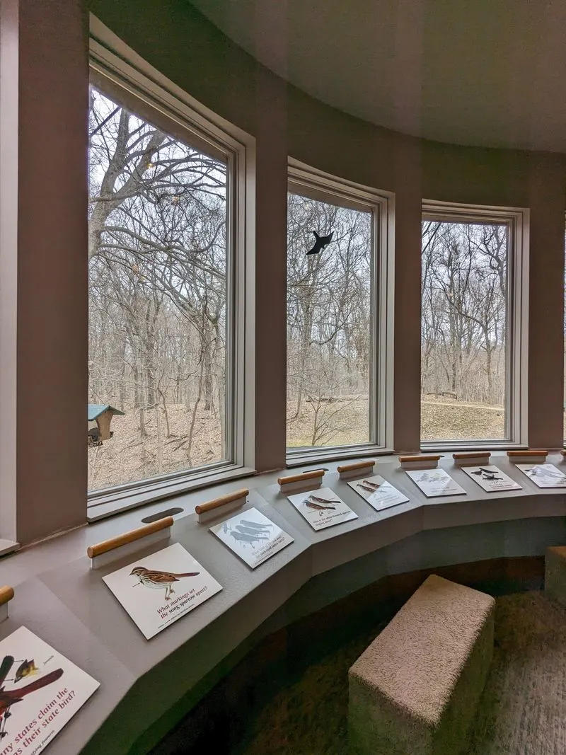 Bird Viewing Room and Feeders
