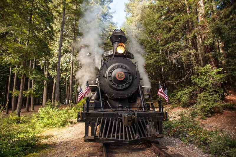 Redwood Majesty