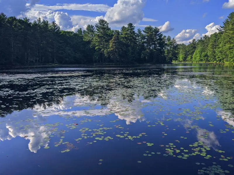 Fishing and Pond Access