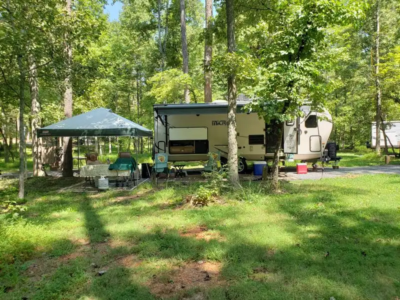 Camping Under Old Trees